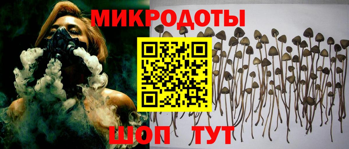 продажа наркотиков  Псилоцибиновые грибы GOLDEN TEACHER  Орёл  Вход с VPN  Псилоцибиновые грибы Psilocybine cubensis 