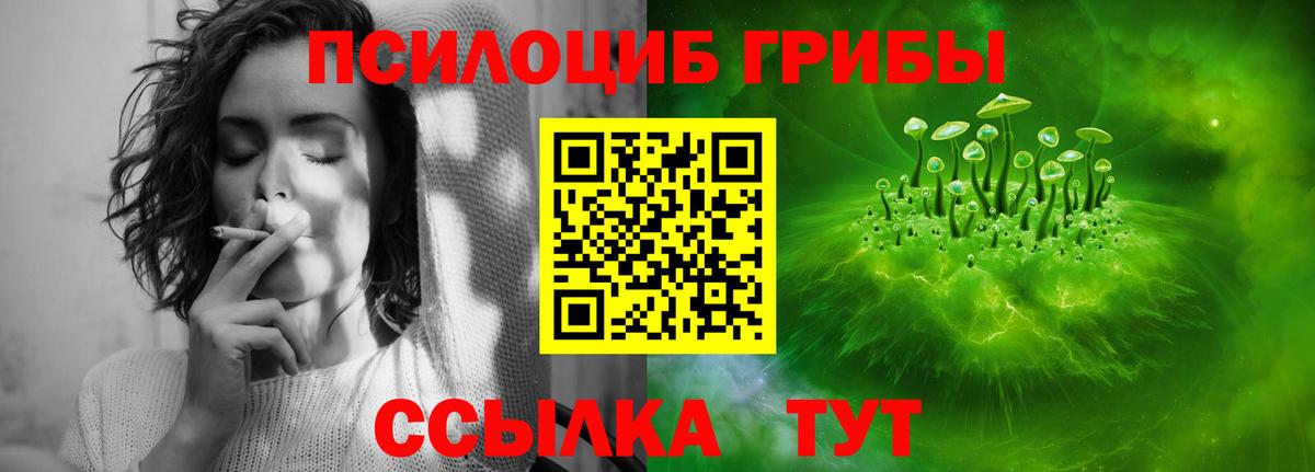 Псилоцибиновые грибы прущие грибы Орёл